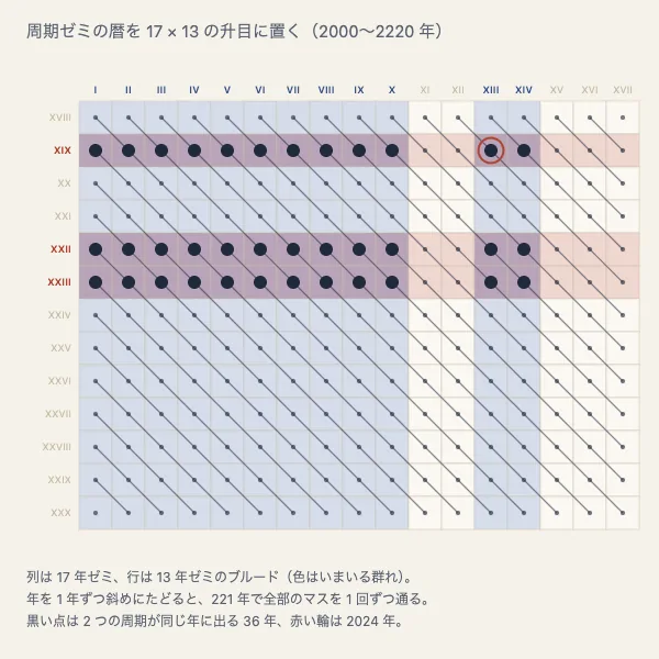 セミの素数周期