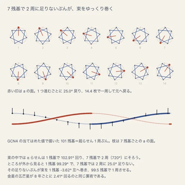 かけ算第55号｜コイルドコイルのピッチは金星の五芒星と同じ算術
