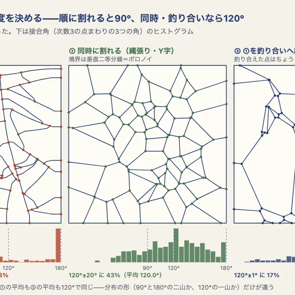乾燥亀裂と柱状節理