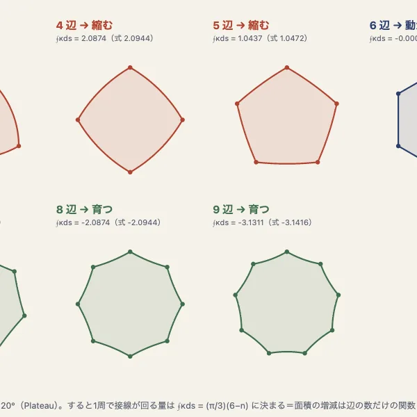 泡の法則
