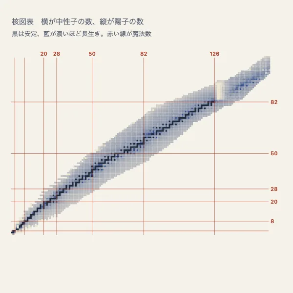 原子核の魔法数がそろう細い帯