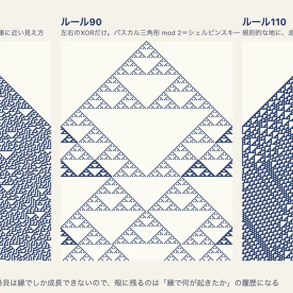 イモガイの貝殻