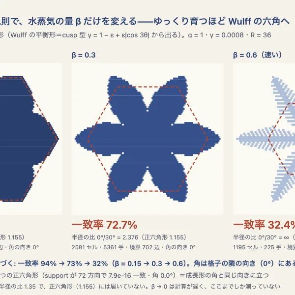 かけ算第22号 平衡形と成長形